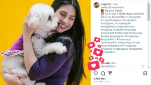 Best Trending Pet Hashtags on Instagram